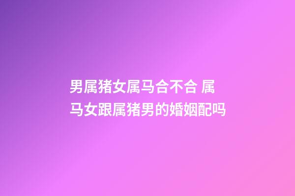 男属猪女属马合不合 属马女跟属猪男的婚姻配吗-第1张-观点-玄机派